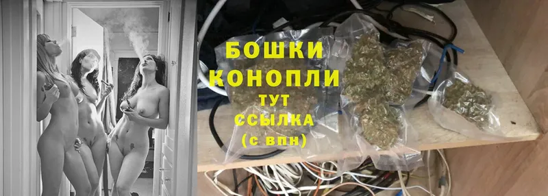 цена наркотик  Красноармейск  Шишки марихуана White Widow 